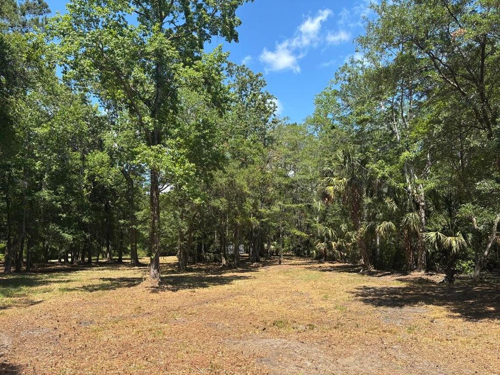Photo of 2044 Shell Island Trce, Johns Island, SC 29455 (MLS # 26014436)