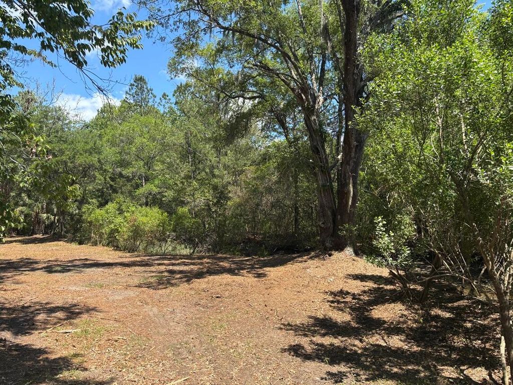 Photo of 2044 Shell Island Trce, Johns Island, SC 29455 (MLS # 26014436)
