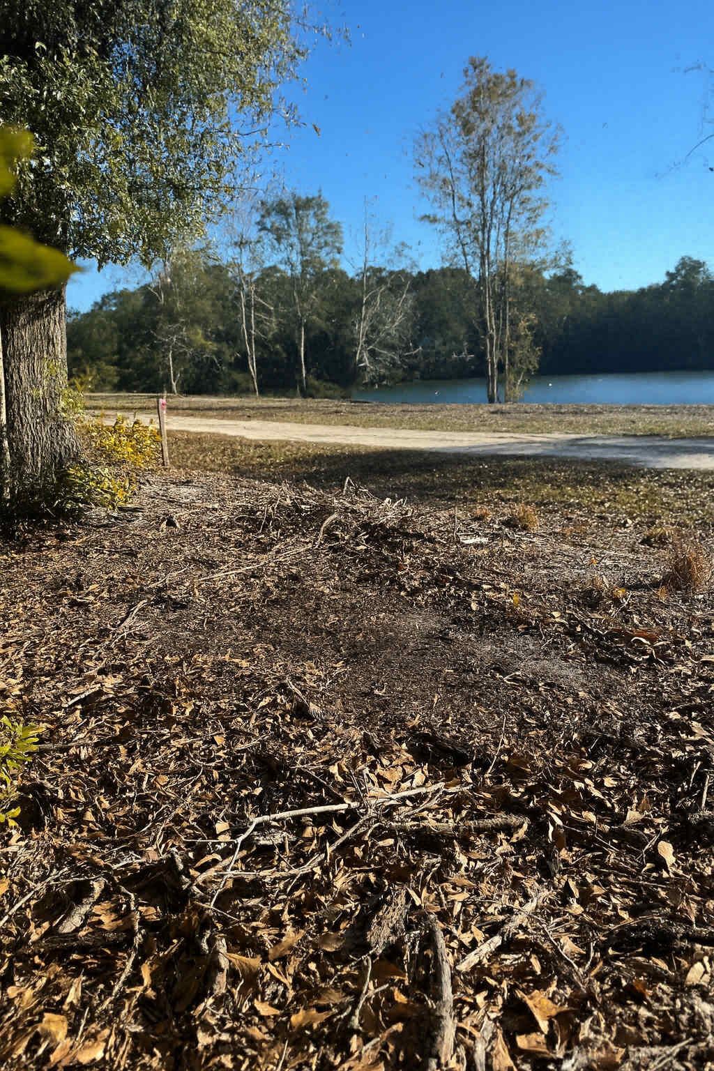 Photo of 6110 Hosanna Way, Hollywood, SC 29449 (MLS # 25018576)