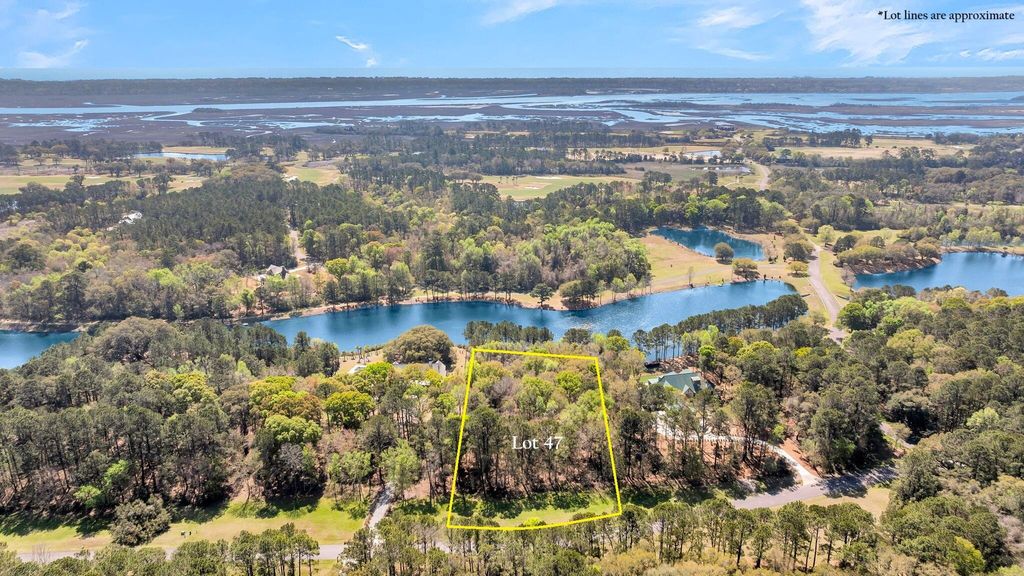 Photo of 4173 Gnarled Oaks Lane, Johns Island, SC 29455 (MLS # 26008417)