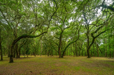 A home in Edisto Island