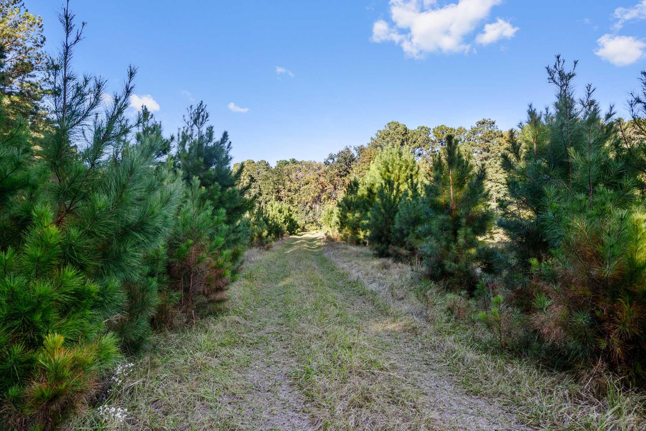 2418 Plow Ground Road