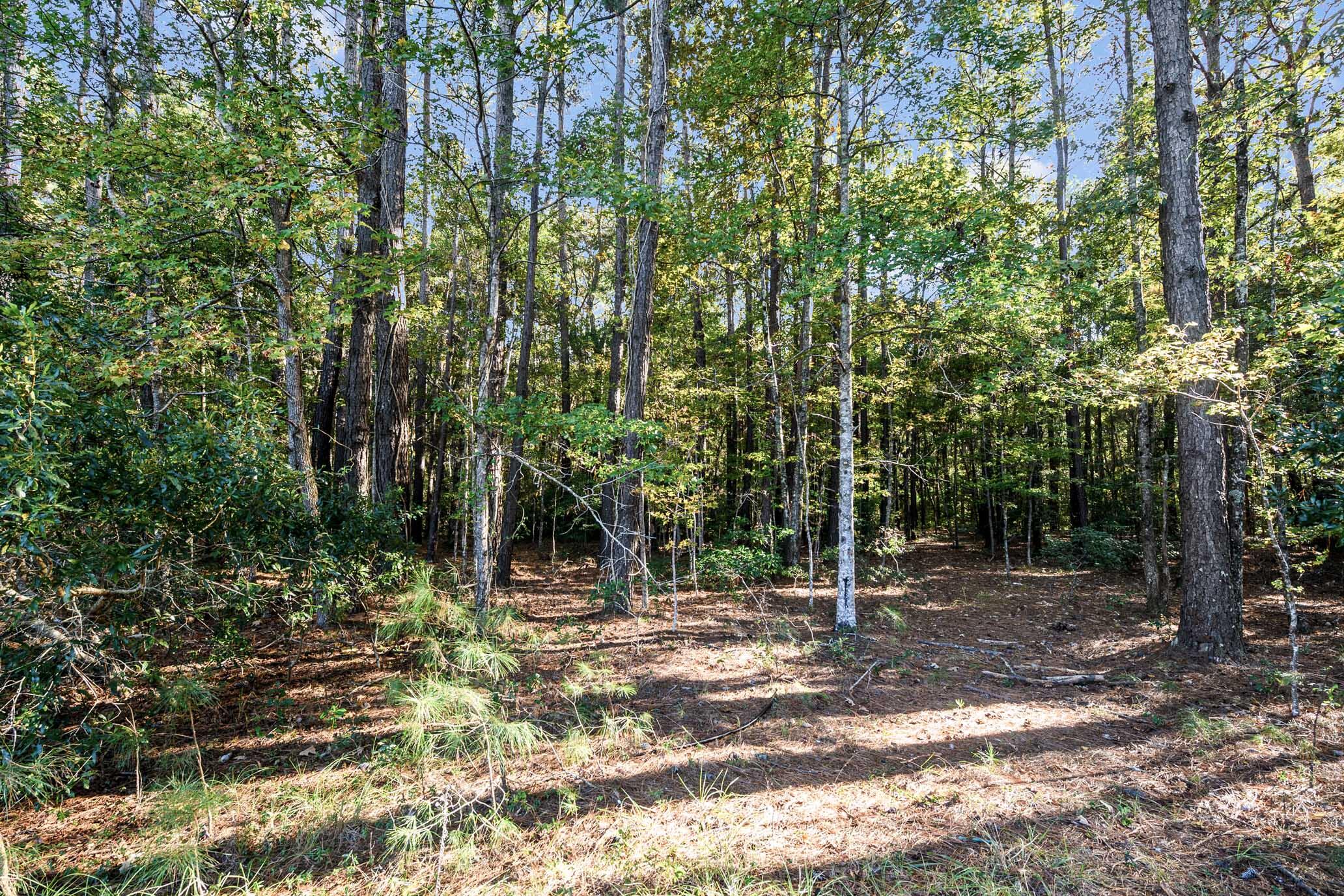 2418 Plow Ground Road