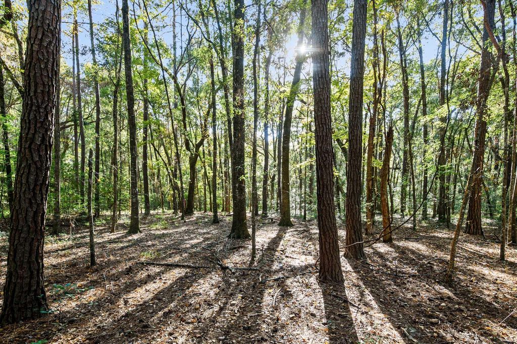 Photo of 2418 Plow Ground Road, Johns Island, SC 29455 (MLS # 25030634)