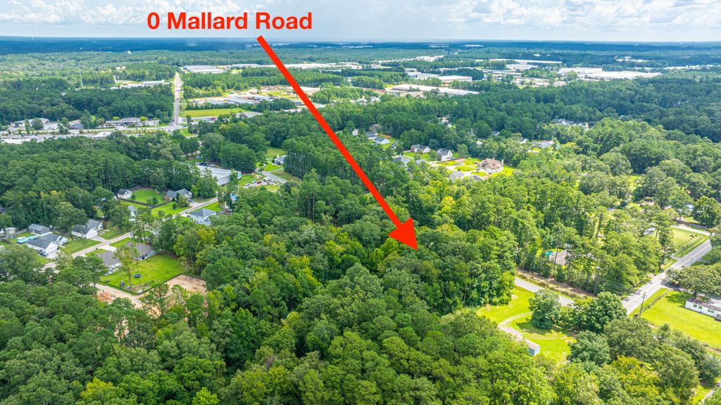 Photo of 0 Mallard Rd Lot 5, Summerville, SC 29483 (MLS # 25022665)