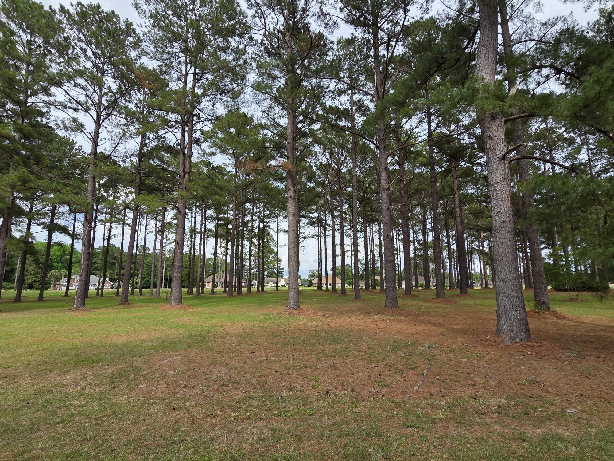 402 Pinelake Court
