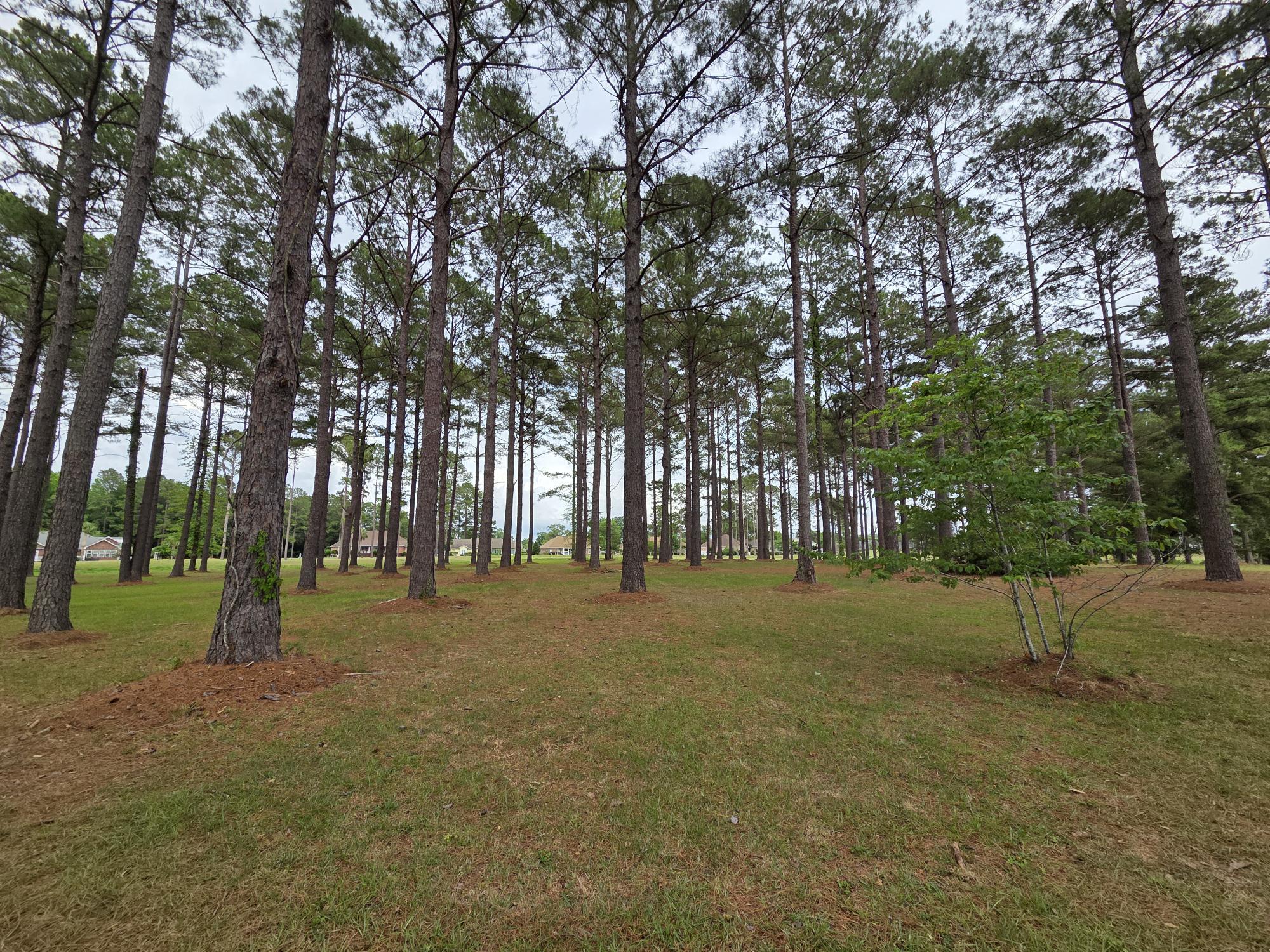 402 Pinelake Court