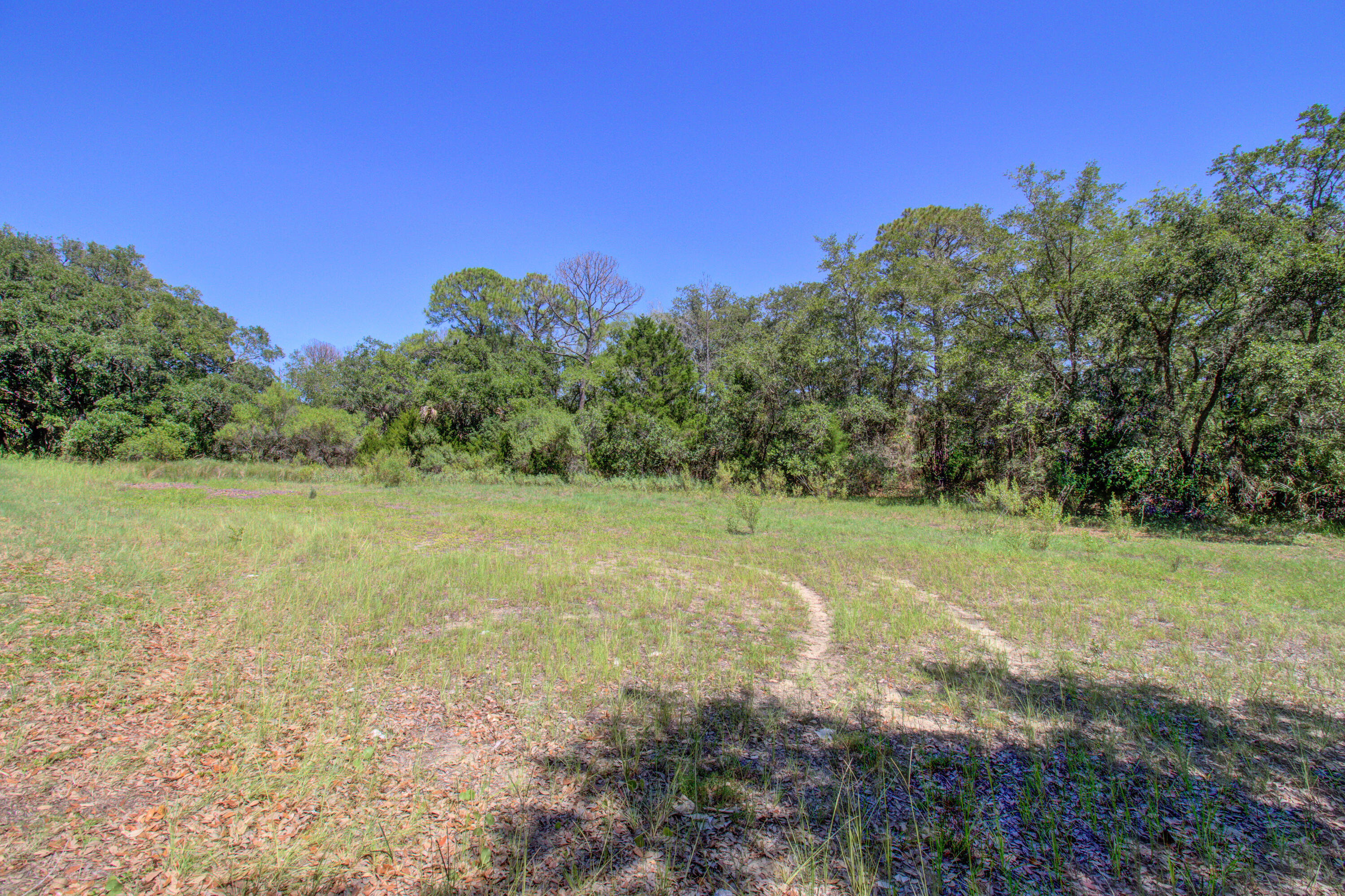 2107 Sol Legare Road
