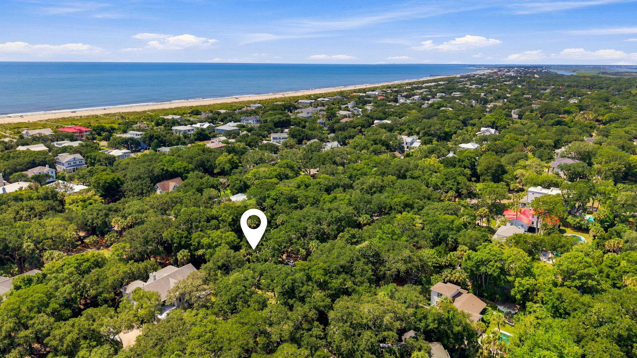 256 Forest Trail