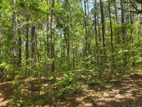 00 Bears Bluff Lot C