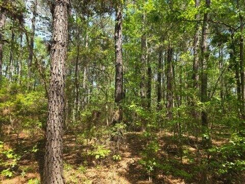 00 Bears Bluff Lot C