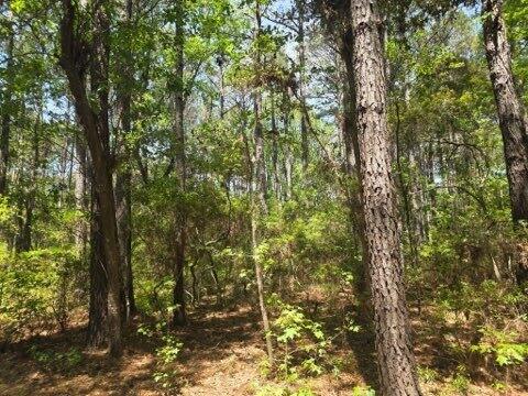 00 Bears Bluff Lot C