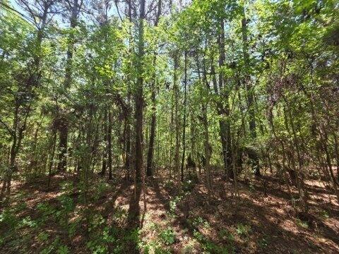 00 Bears Bluff Lot C