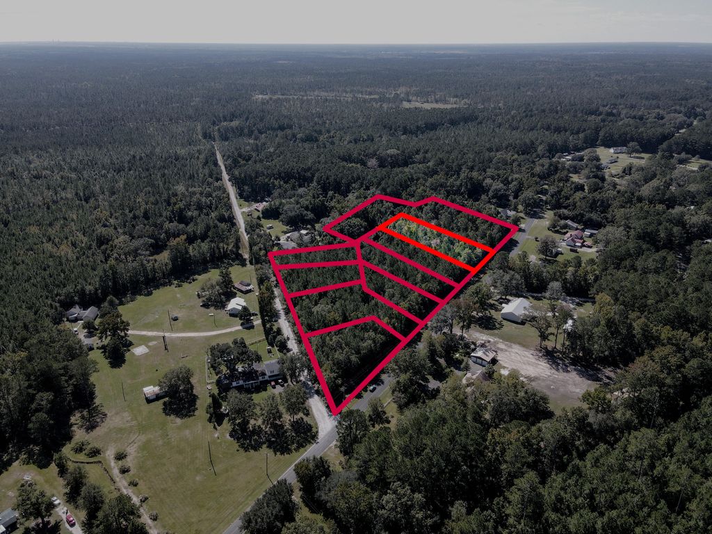 Photo of 1 Hard Pinch Road, Moncks Corner, SC 29461 (MLS # 25024941)