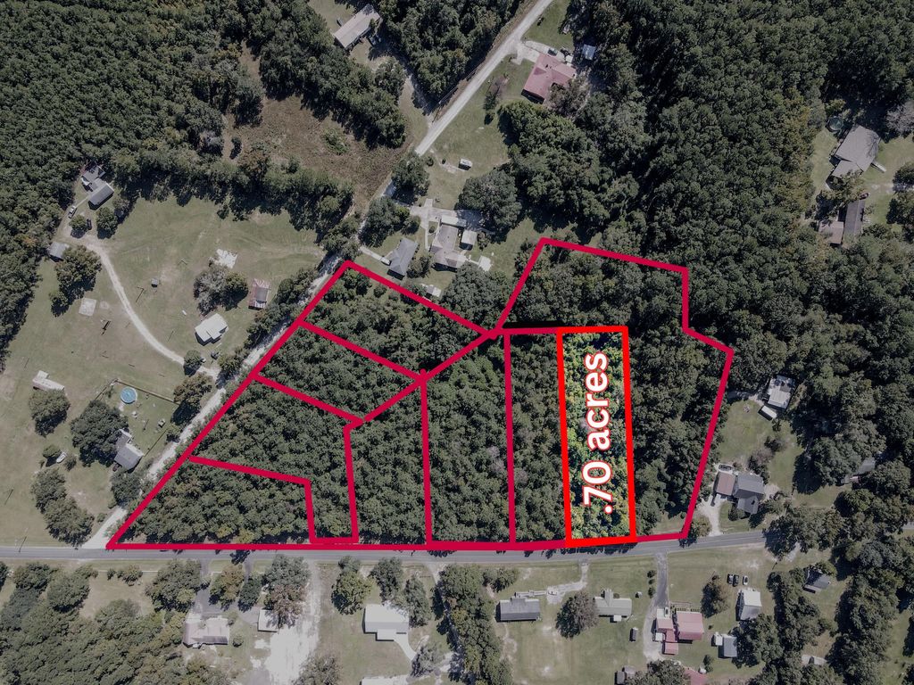 Photo of 1 Hard Pinch Road, Moncks Corner, SC 29461 (MLS # 25024941)