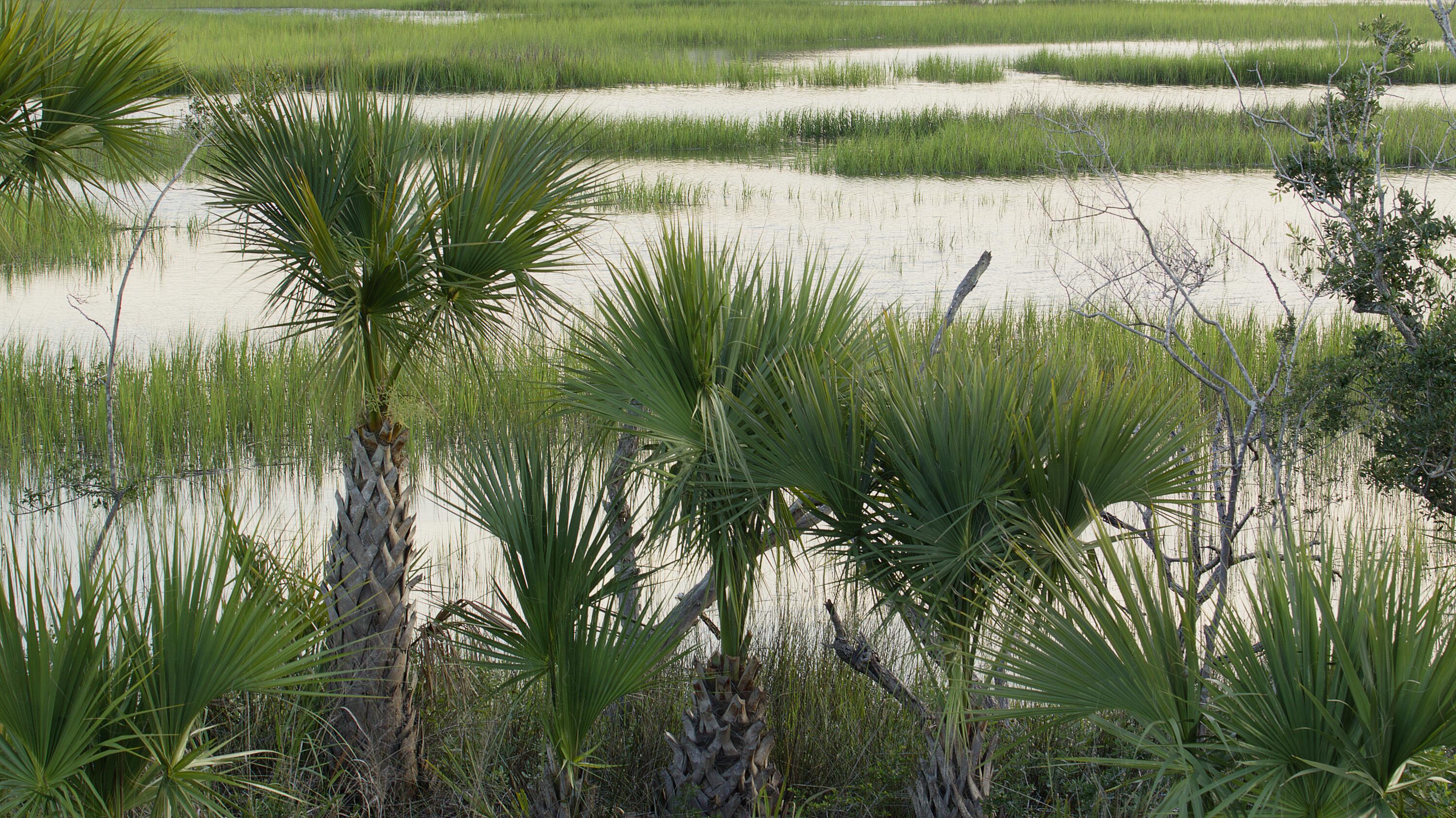 1109 Ship Builder Street