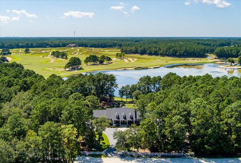 Photo of 769 Bulls Bay Boulevard, Mount Pleasant, SC 29466 (MLS # 25024557)