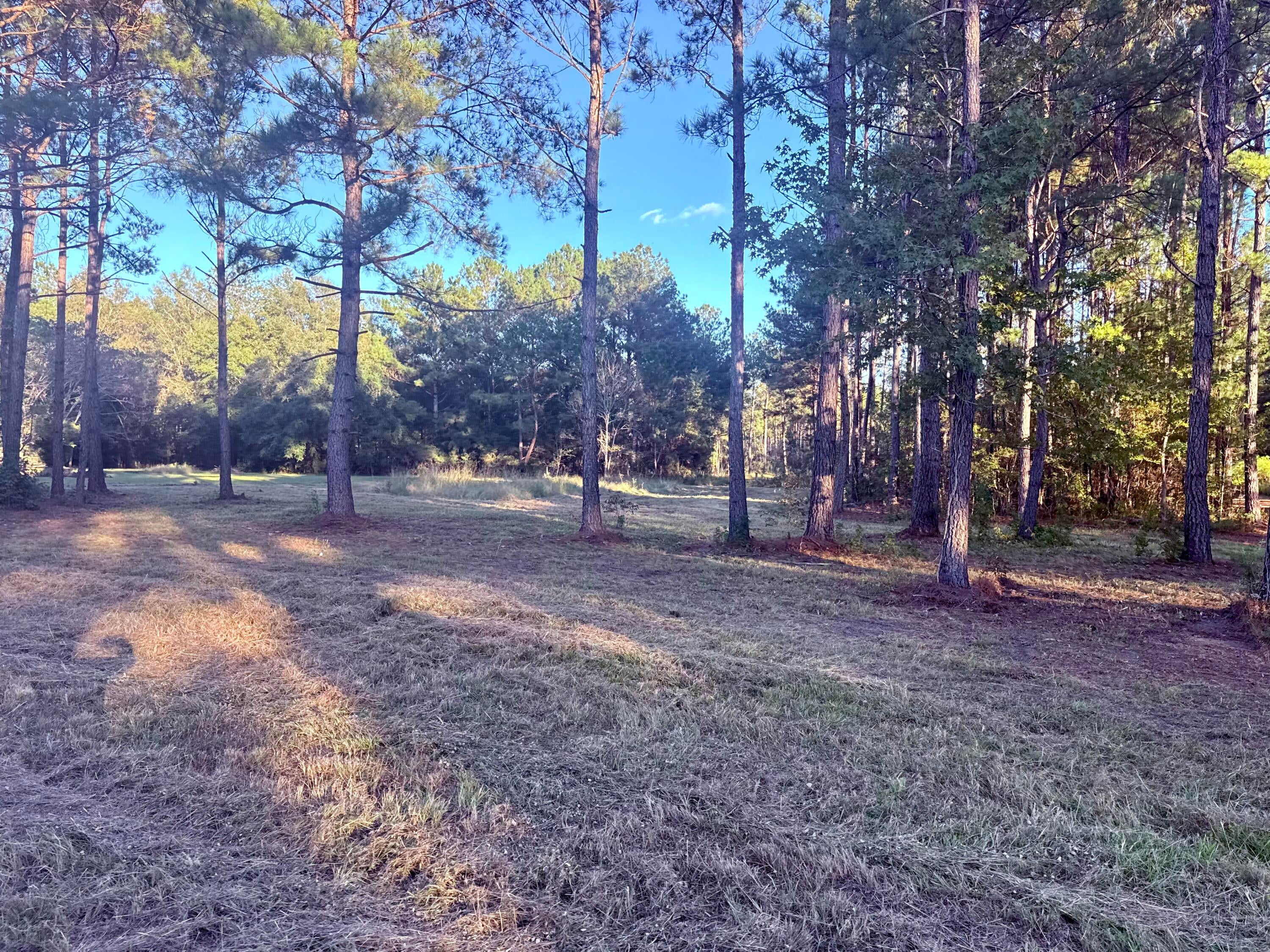 312 Heaven Drive