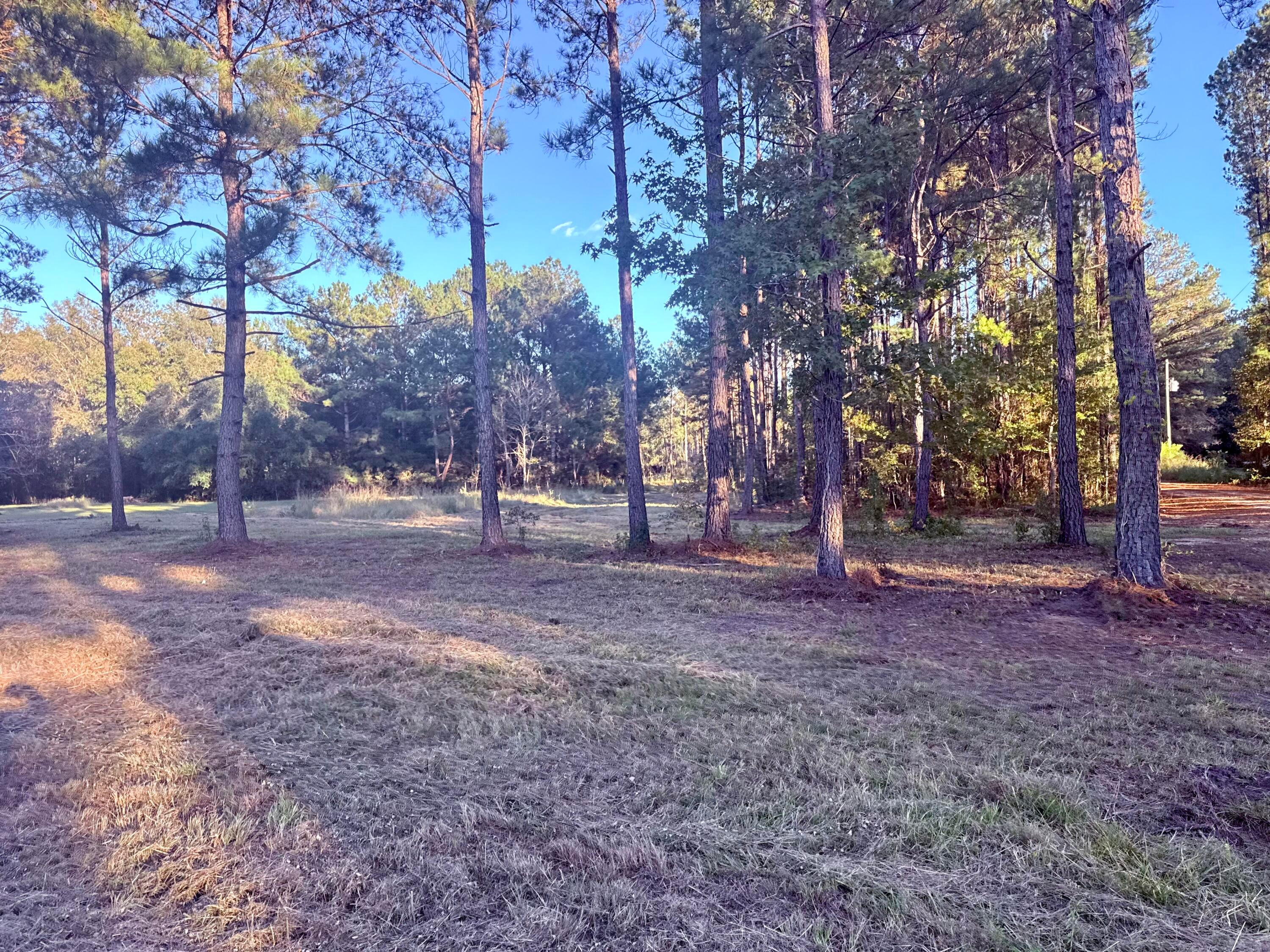 312 Heaven Drive