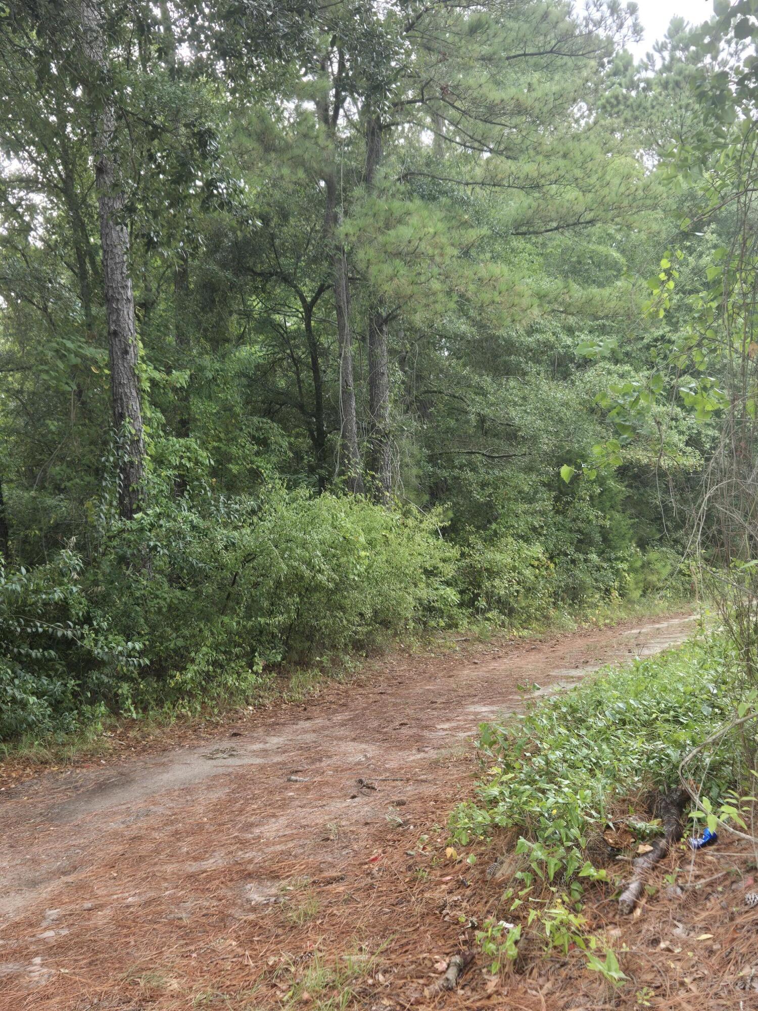 Lot 2 Rodenberry Road