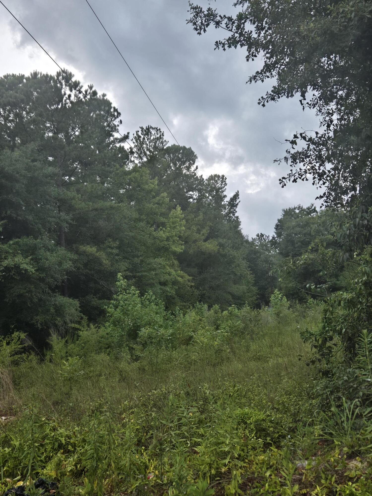 Lot 2 Rodenberry Road