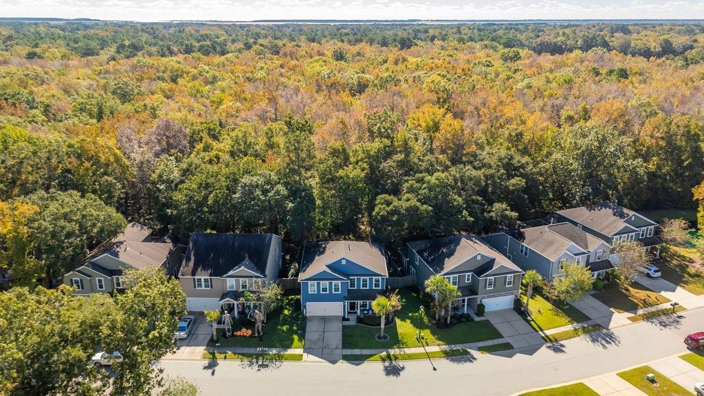 Photo of 3924 Hanoverian Drive, Mount Pleasant, SC 29429 (MLS # 25029257)