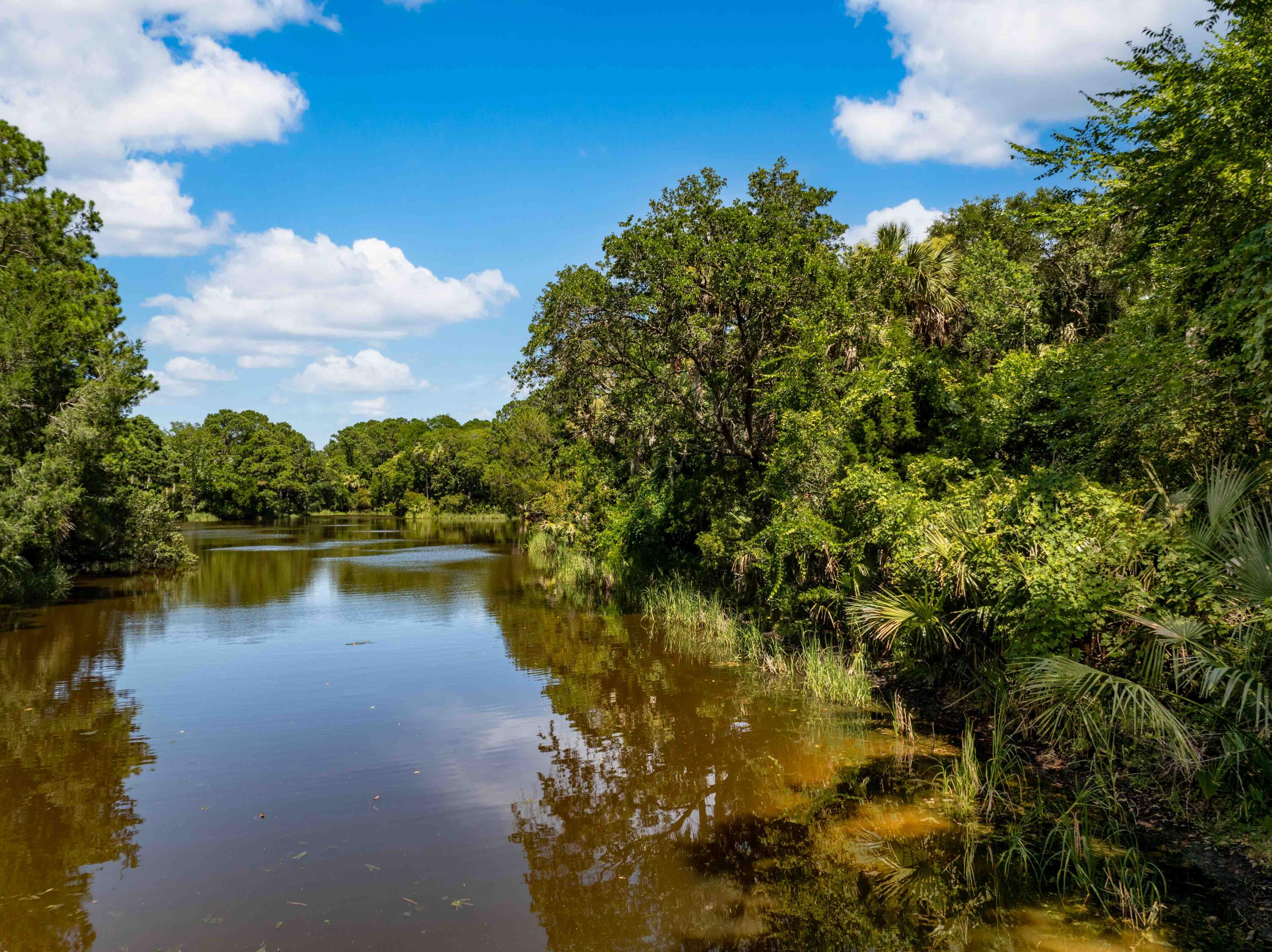 124 Sawgrass Lane