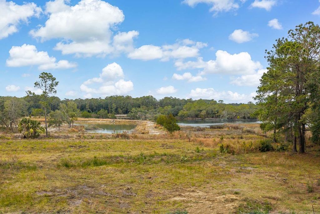 Photo of 8127 Jack Island Drive, Johns Island, SC 29455 (MLS # 25032475)