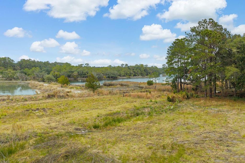 Photo of 8127 Jack Island Drive, Johns Island, SC 29455 (MLS # 25032475)