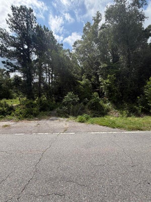 NORWAY RD, ORANGEBURG, SC 29115 - Image 20fda3d3389c433d235cbb9703142d5f/878413193