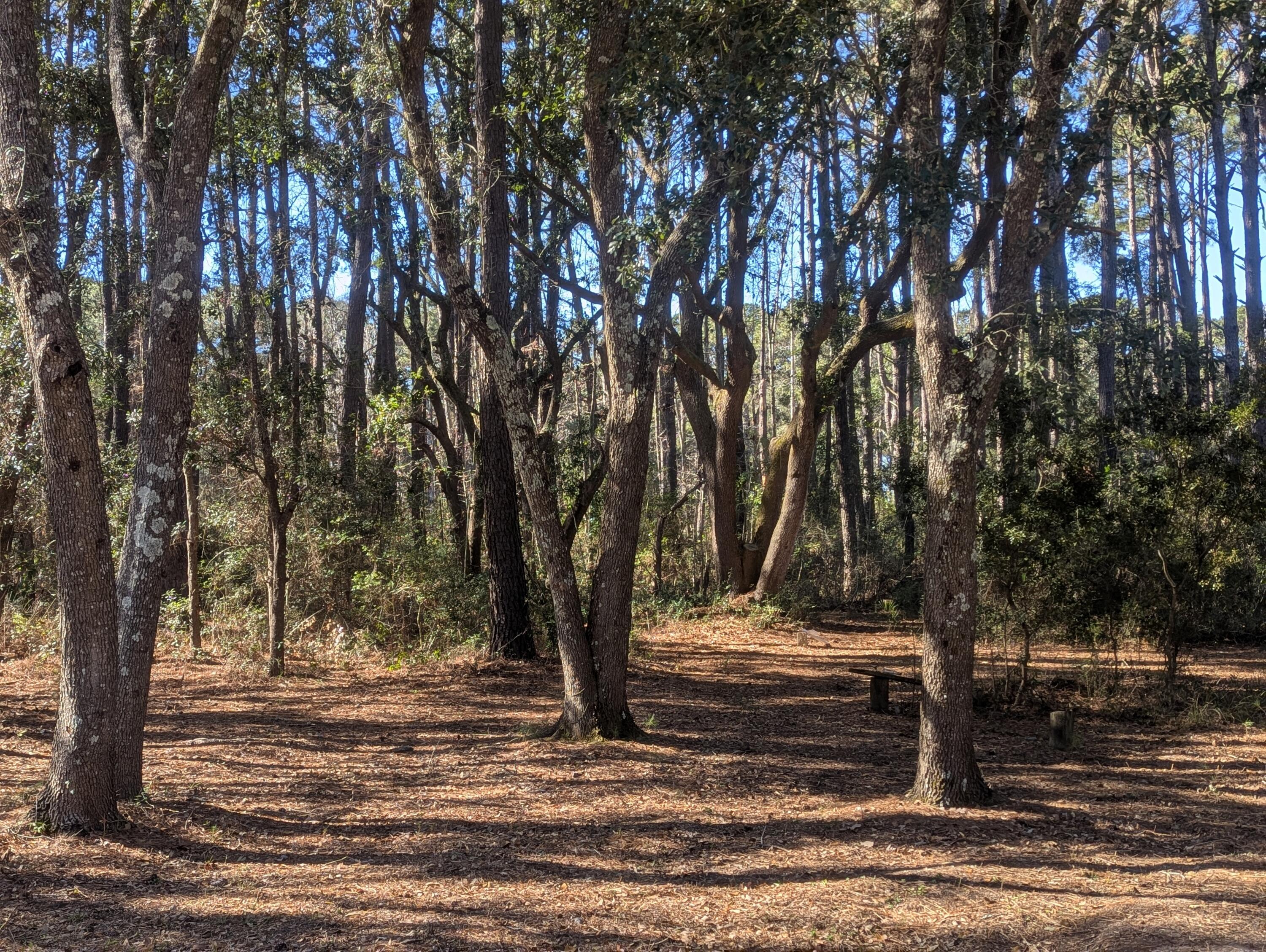 2134 Mcneil Washington Road