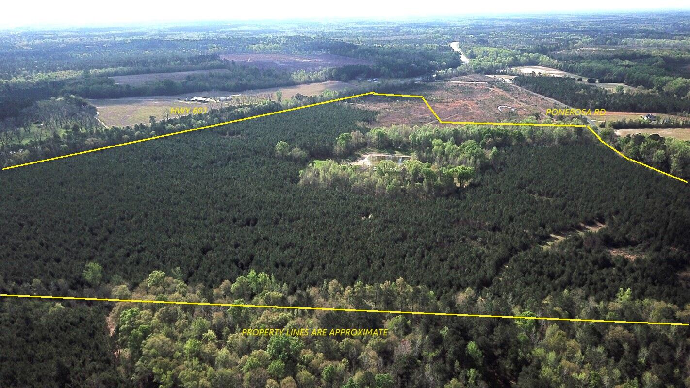 305 Ponderosa Road, Saint Matthews, SC, 29135