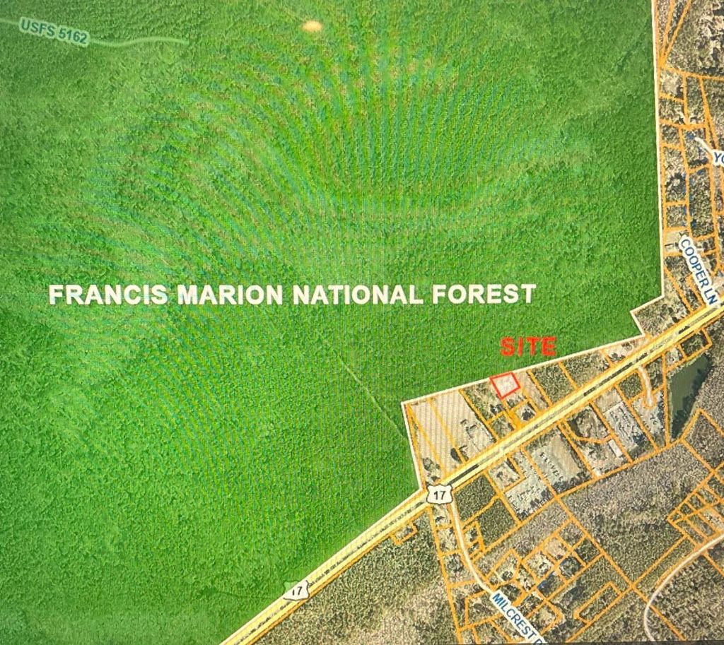 Photo of 6222 N Highway 17, Awendaw, SC 29429 (MLS # 26009260)