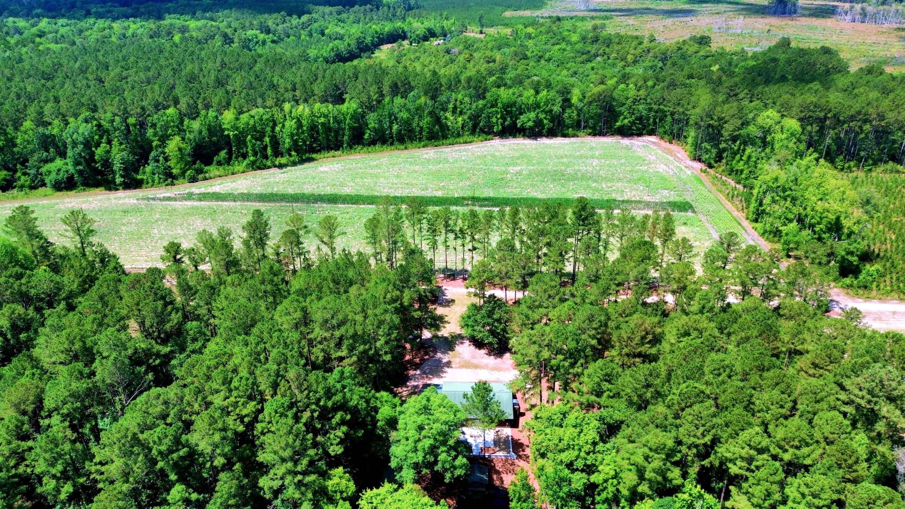 1970 Cross Swamp Road, Lodge, SC, 29082