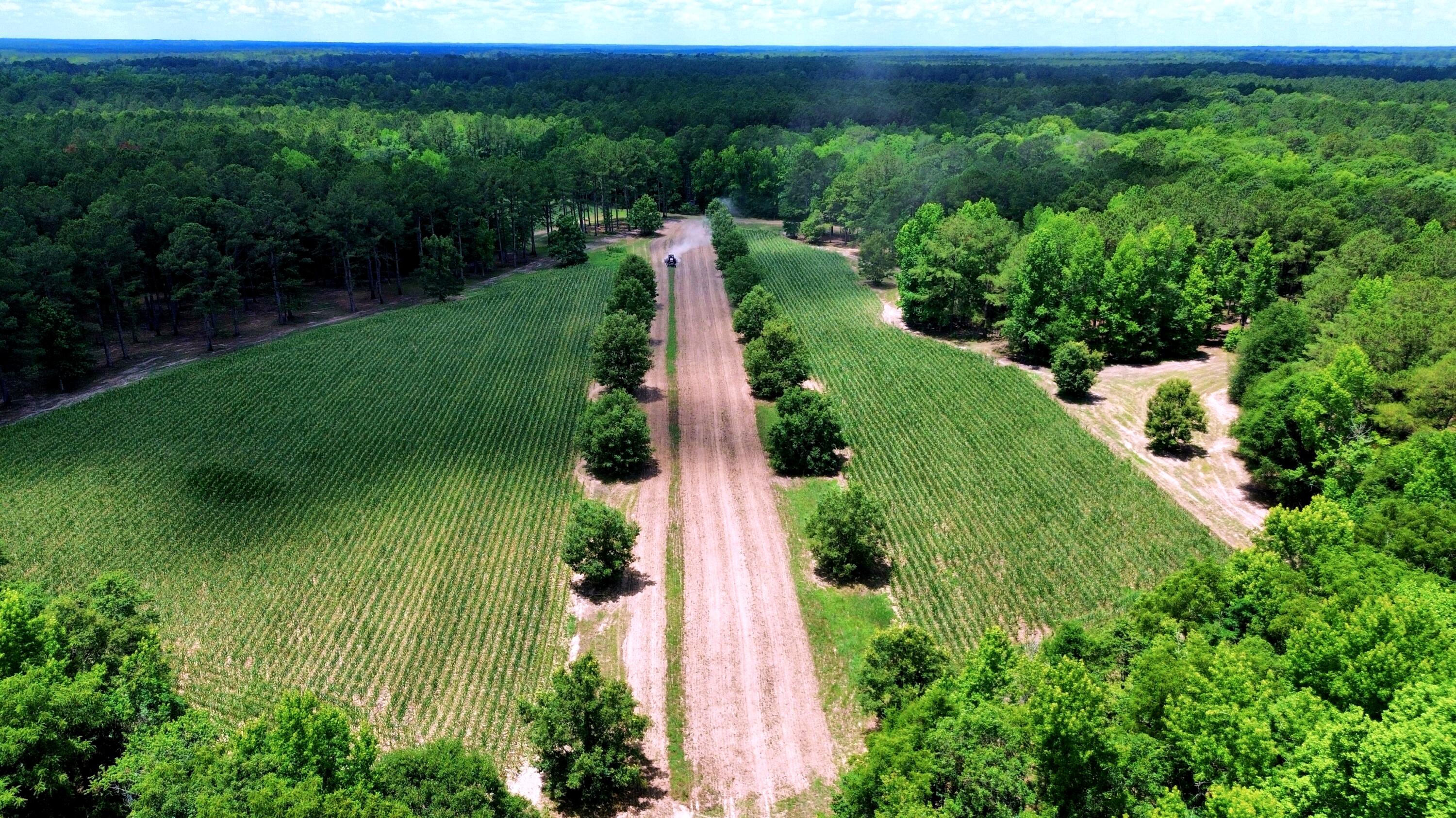 1970 Cross Swamp Road