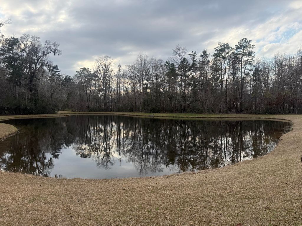 Photo of 1573 Ashley Garden Boulevard, Charleston, SC 29414 (MLS # 26005823)