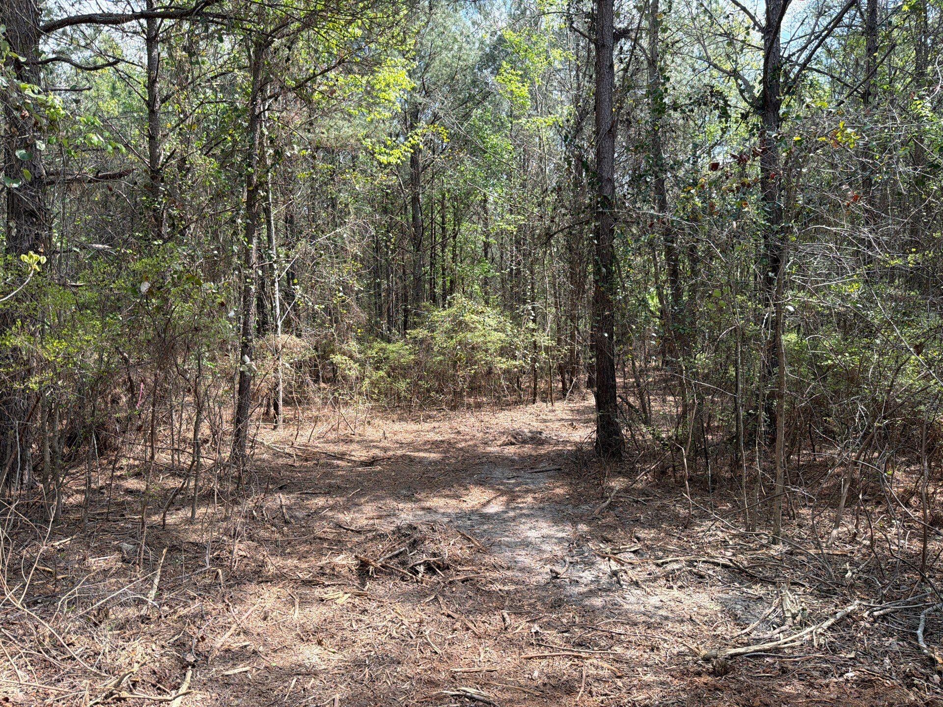 Cva 1 Mt. Calvary Road Cva 1