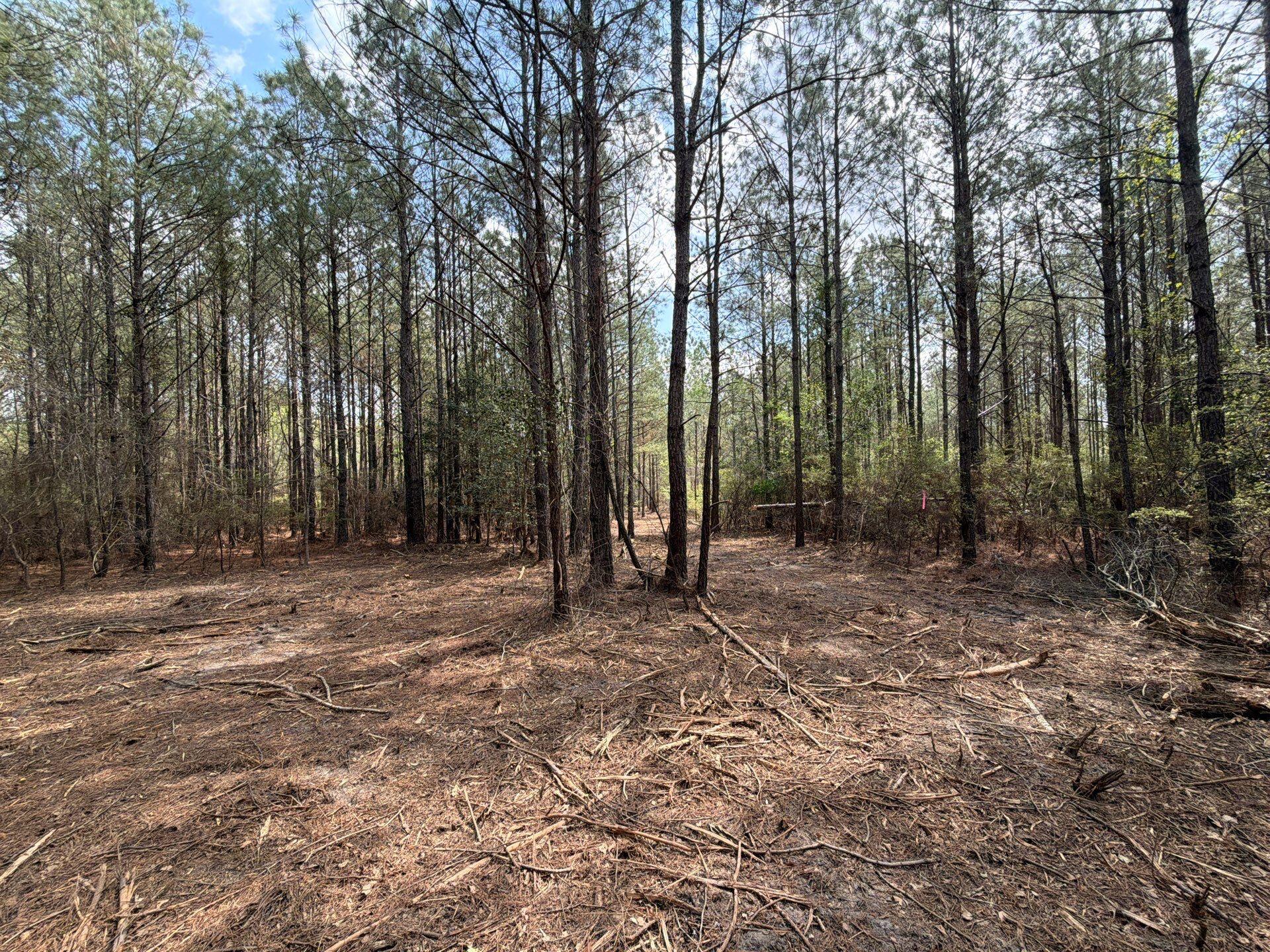 Cva 1 Mt. Calvary Road Cva 1