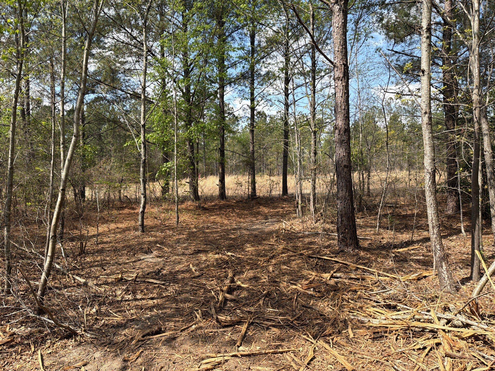 Cva 1 Mt. Calvary Road Cva 1