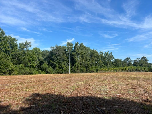 WHITTAKER PKWY, ORANGEBURG, SC 29115 - Image 227383c04c3dd4e7eac148e105b8073e/2522891943