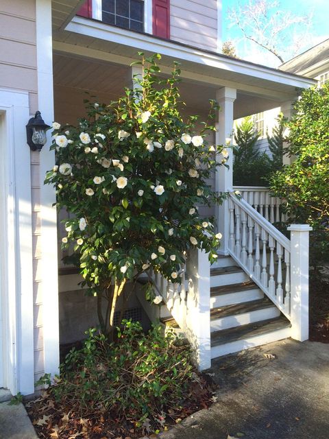 A home in Charleston