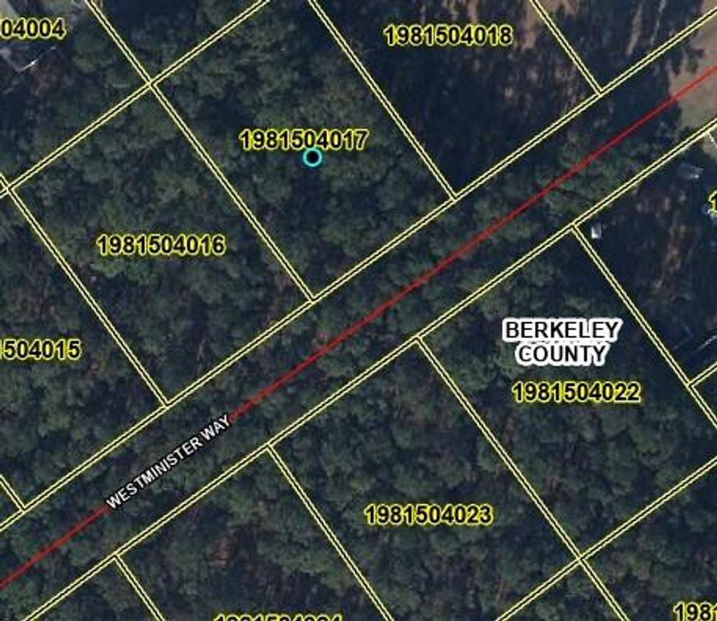 Photo of 1613 Westminister Way, Moncks Corner, SC 29461 (MLS # 25022297)