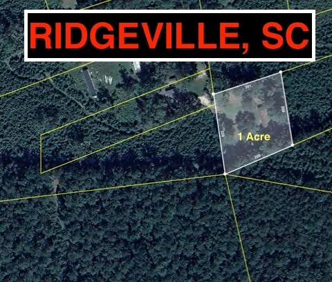 217 Joe Felder Road, Ridgeville, SC, 29472