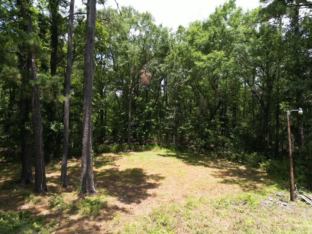 Photo of 5810 Dixie Plantation Road, Hollywood, SC 29449 (MLS # 25018347)