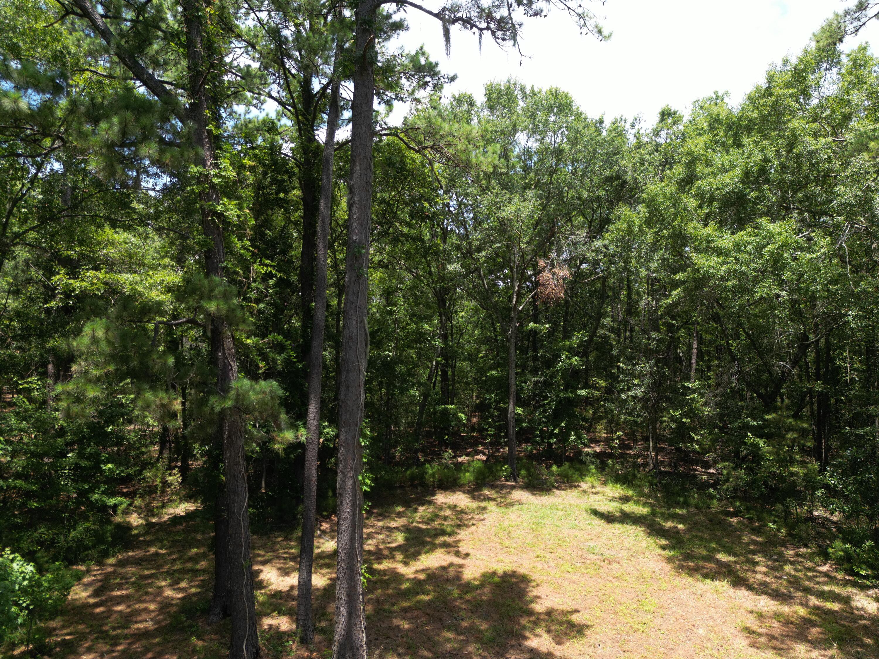 5810 Dixie Plantation Road