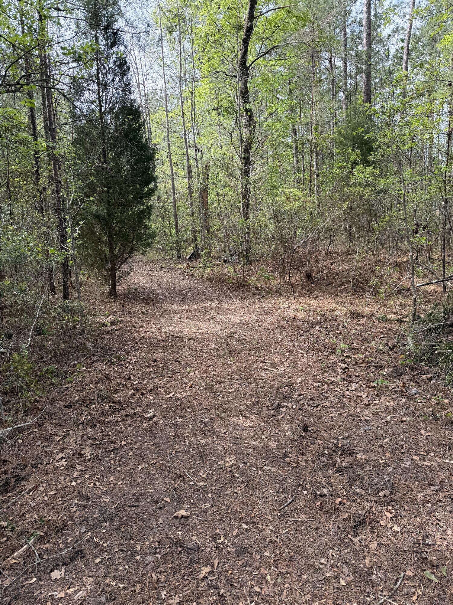 200 Yearling Drive