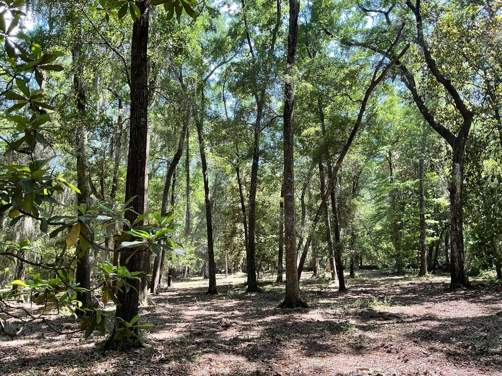 Photo of Lot 1 Loafers Glory Lane, Edisto Island, SC 29438 (MLS # 25014105)