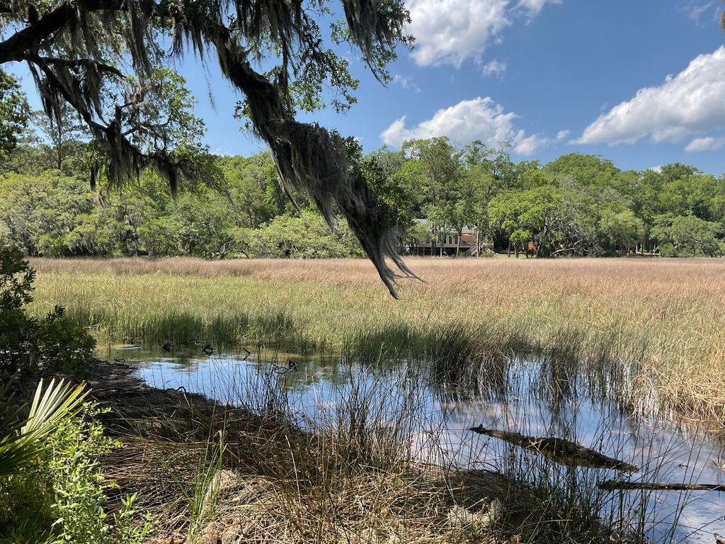 Photo of Lot 1 Loafers Glory Lane, Edisto Island, SC 29438 (MLS # 25014105)