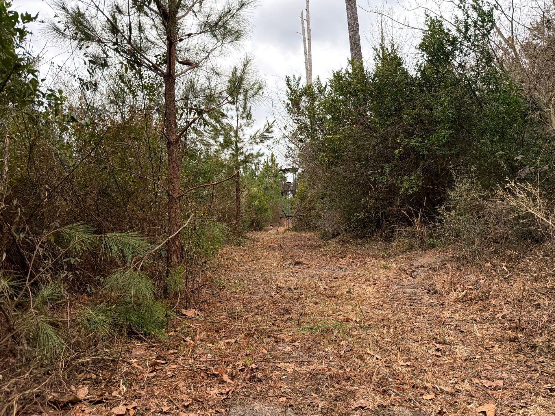 Bff Ii 3 J C Barefoot Road