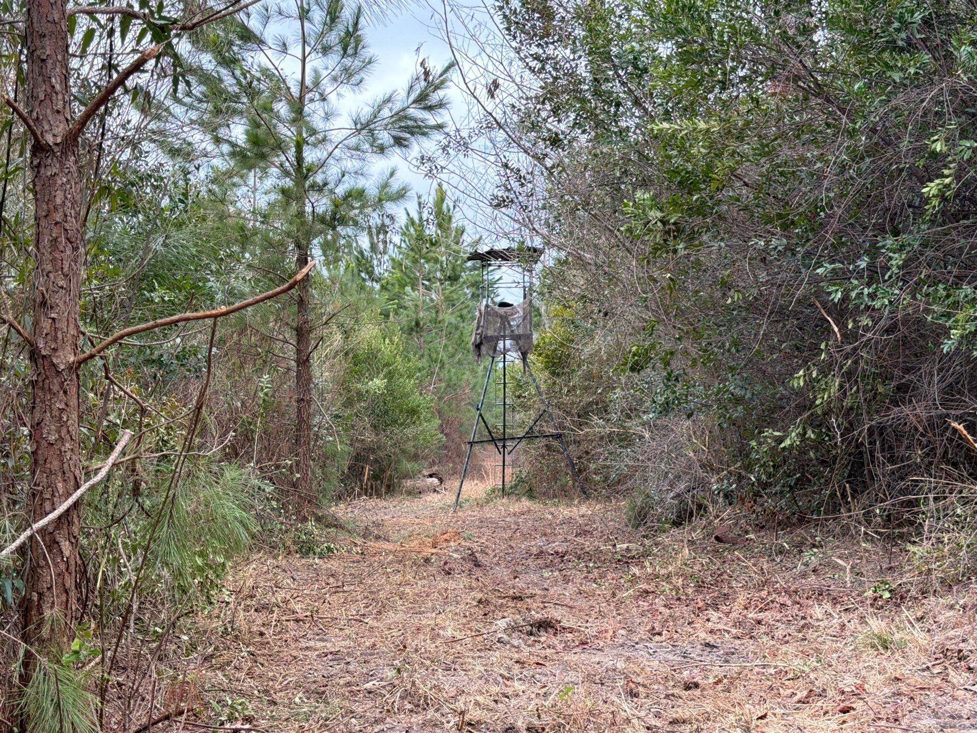 Bff Ii 3 J C Barefoot Road